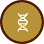 icon-1